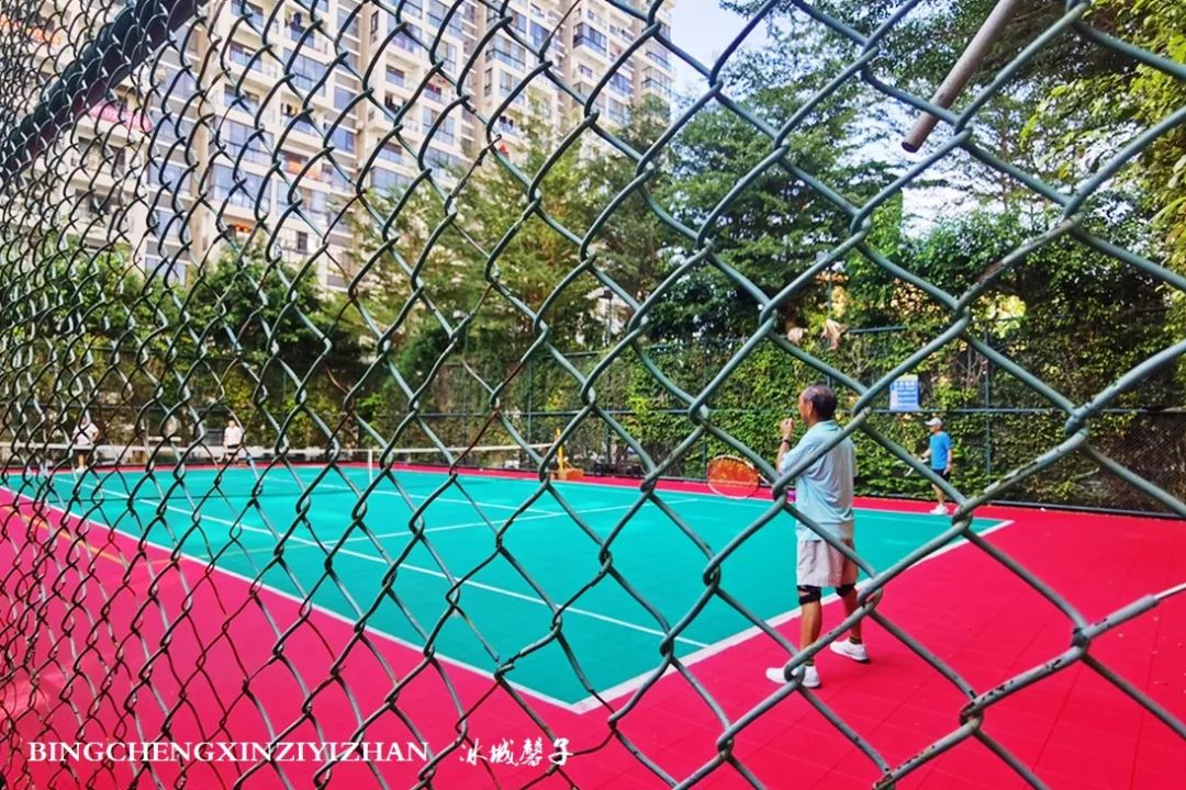 旅居海南：九所新区的浪漫情