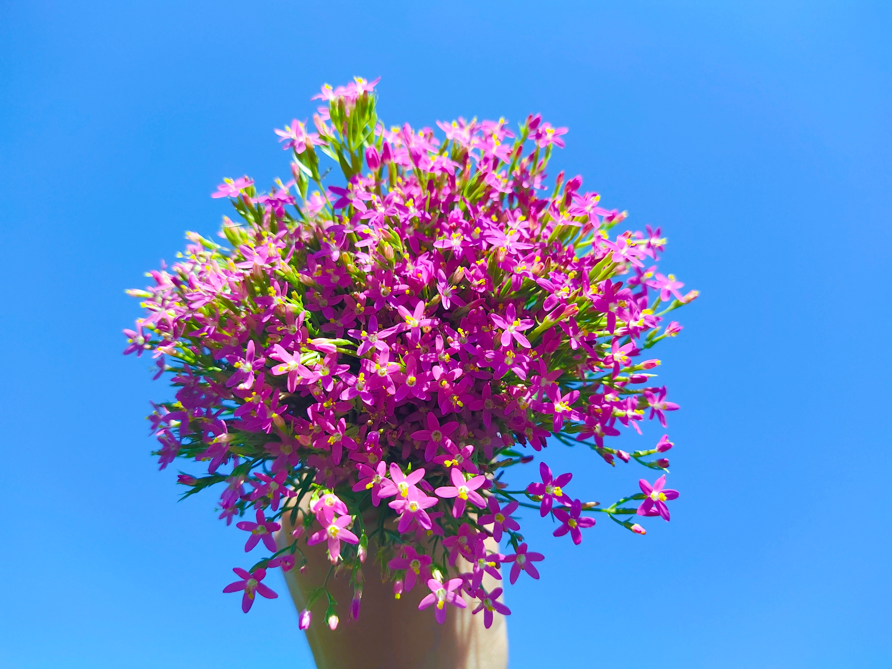 相亲见面两次可以发展到什么地步,同一个相亲对象介绍两次