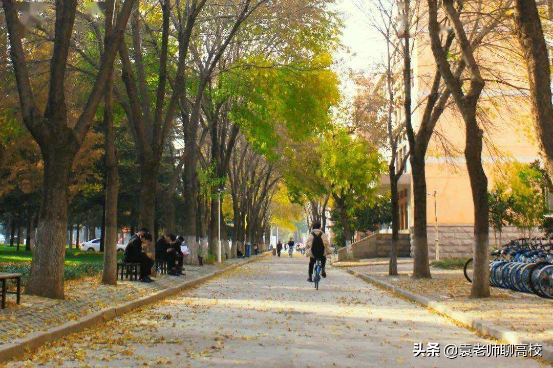 山东农业大学与青岛农业大学,同省的两所农业大学,你会怎么选?