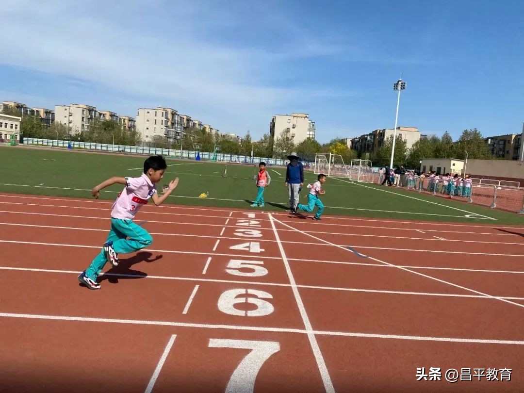 校园竞技体育的魅力,校园青春比赛