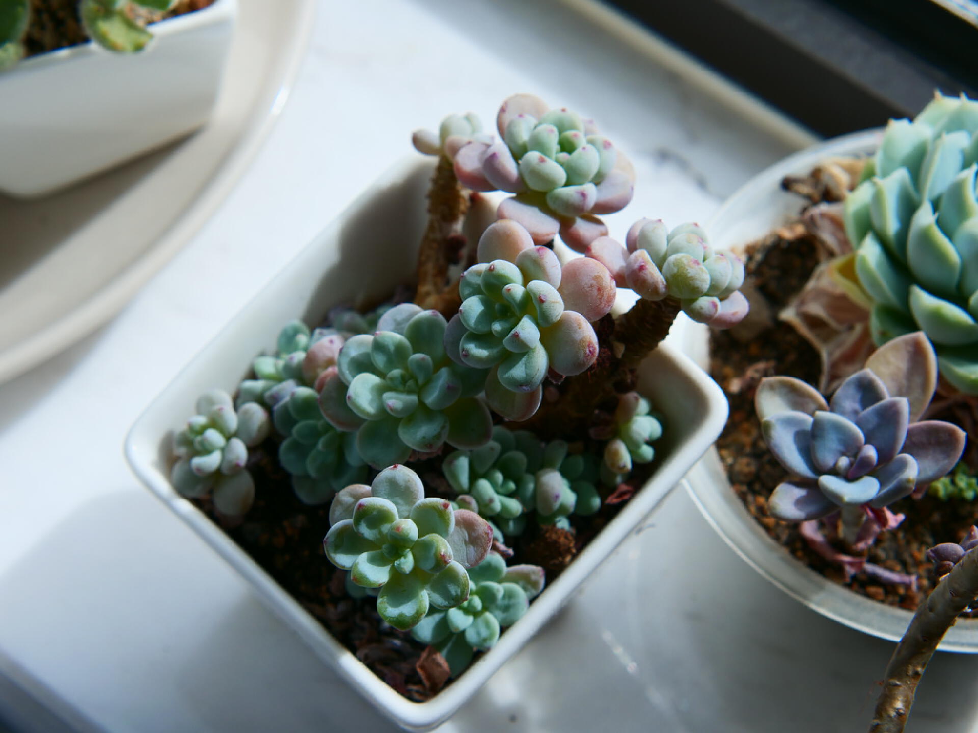 拍人像必备摄影器材有哪些,一般摄影必用的照相器材有哪些呢