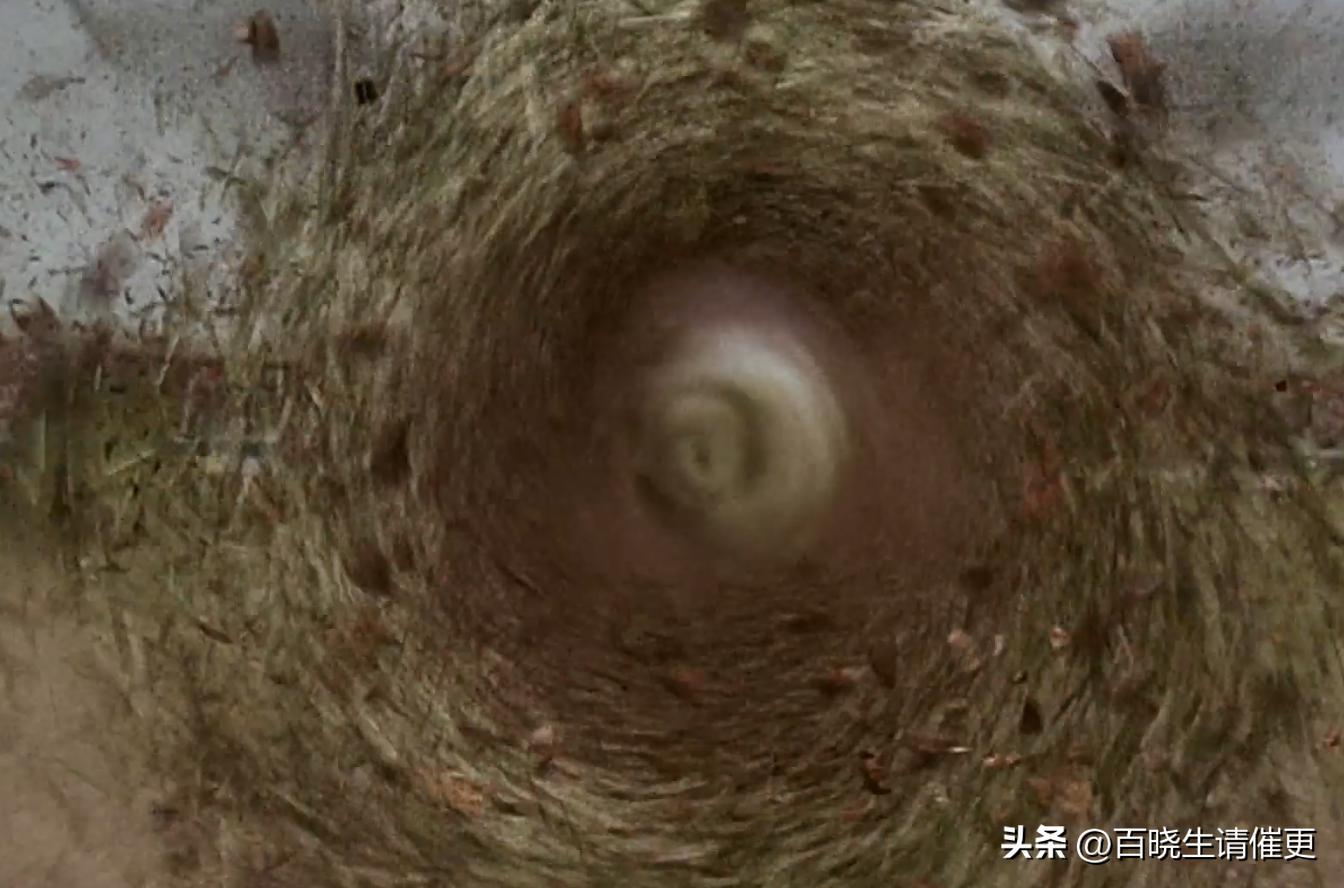 少林足球一口气看完全程,一口气看完系列少林足球