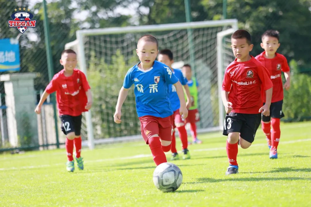 校队风采,校师团队风采