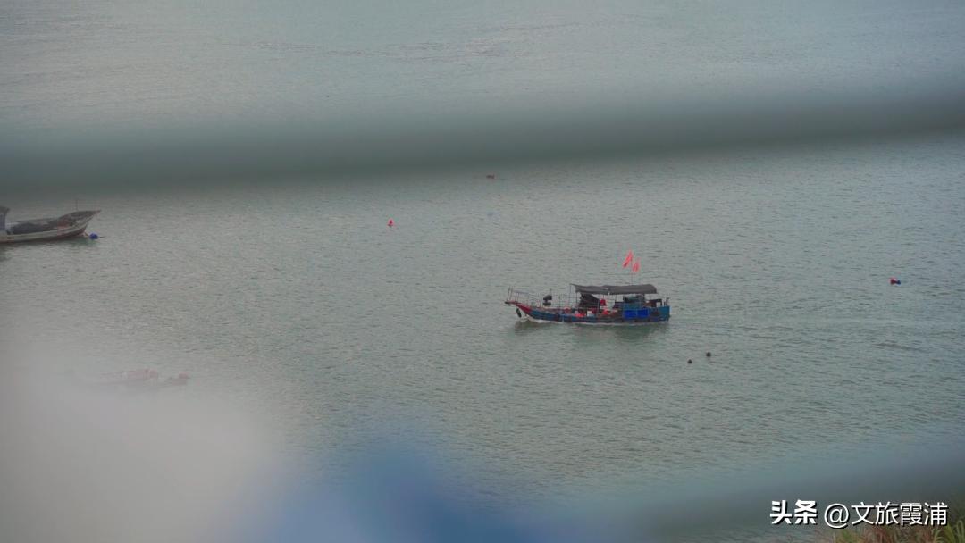 东海1号海钓,东海1号