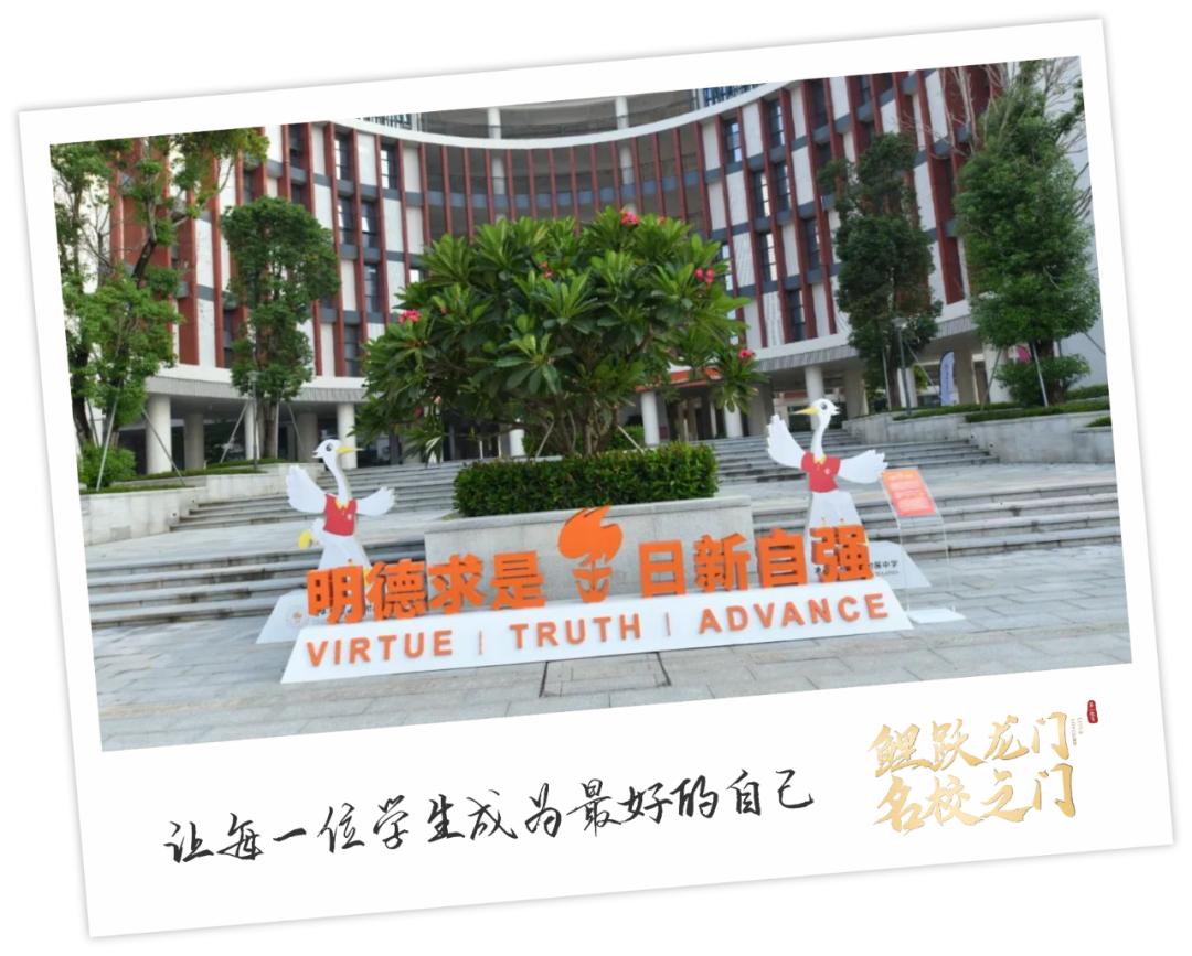 最新南科大附中,南科大附属中学