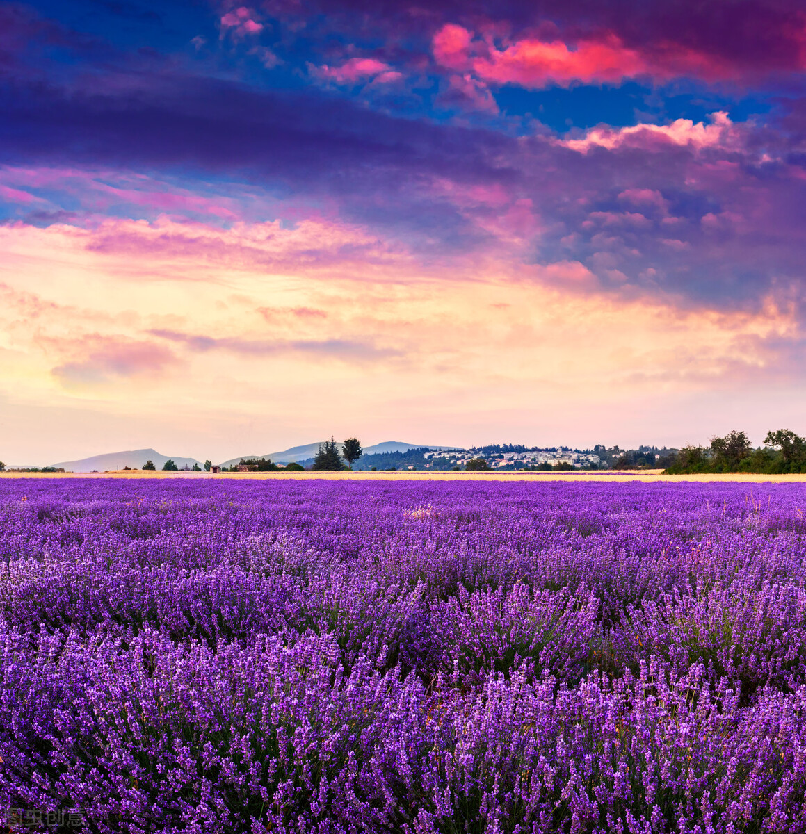 不到*疆新**，不知中国之大，不包邮的*疆新**到底有多大？
