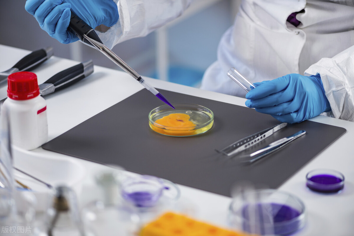 常见食品添加剂的危害及解决之道,我们应该避免吃变质食物怎么说