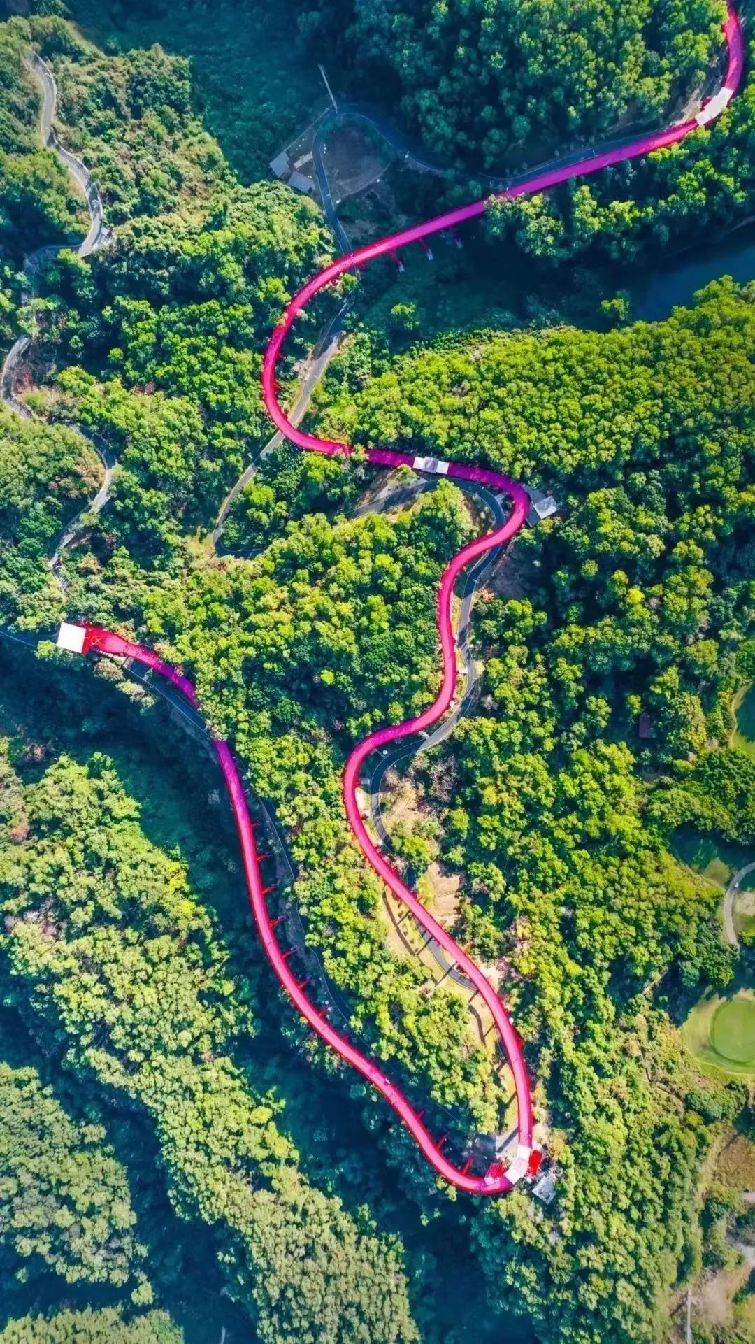 端午假期光明活动超精彩！音乐live、摘荔枝、包粽子……等你解锁！