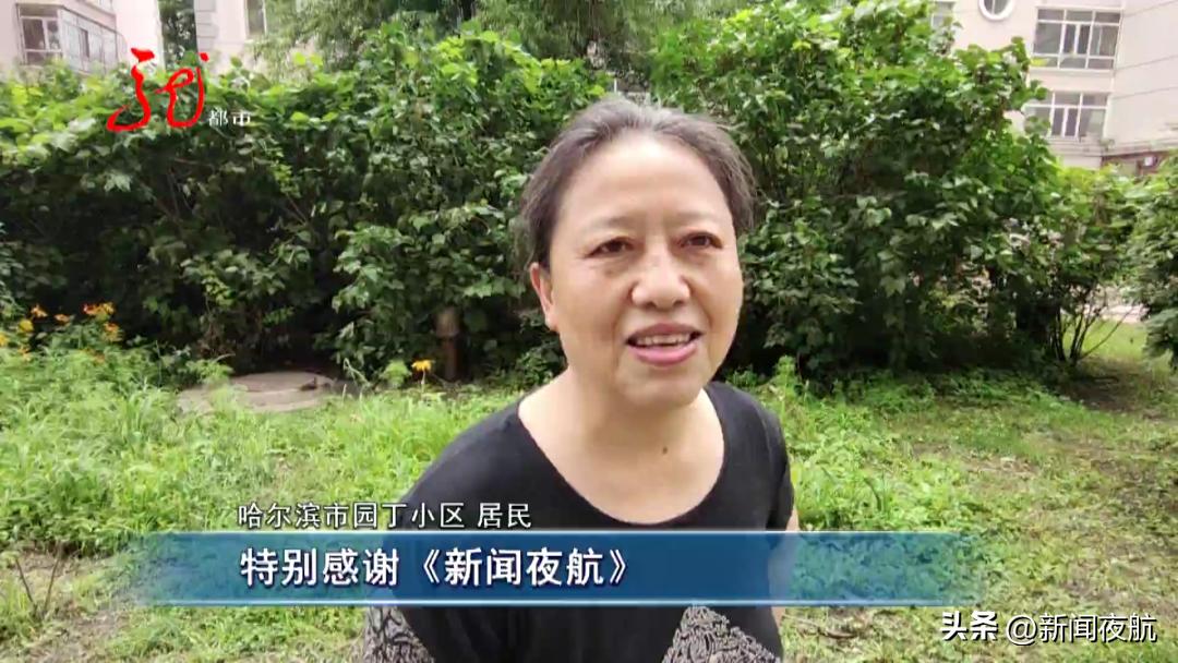 新闻夜航新闻线索热线电话,新闻夜航法律帮助热线是多少