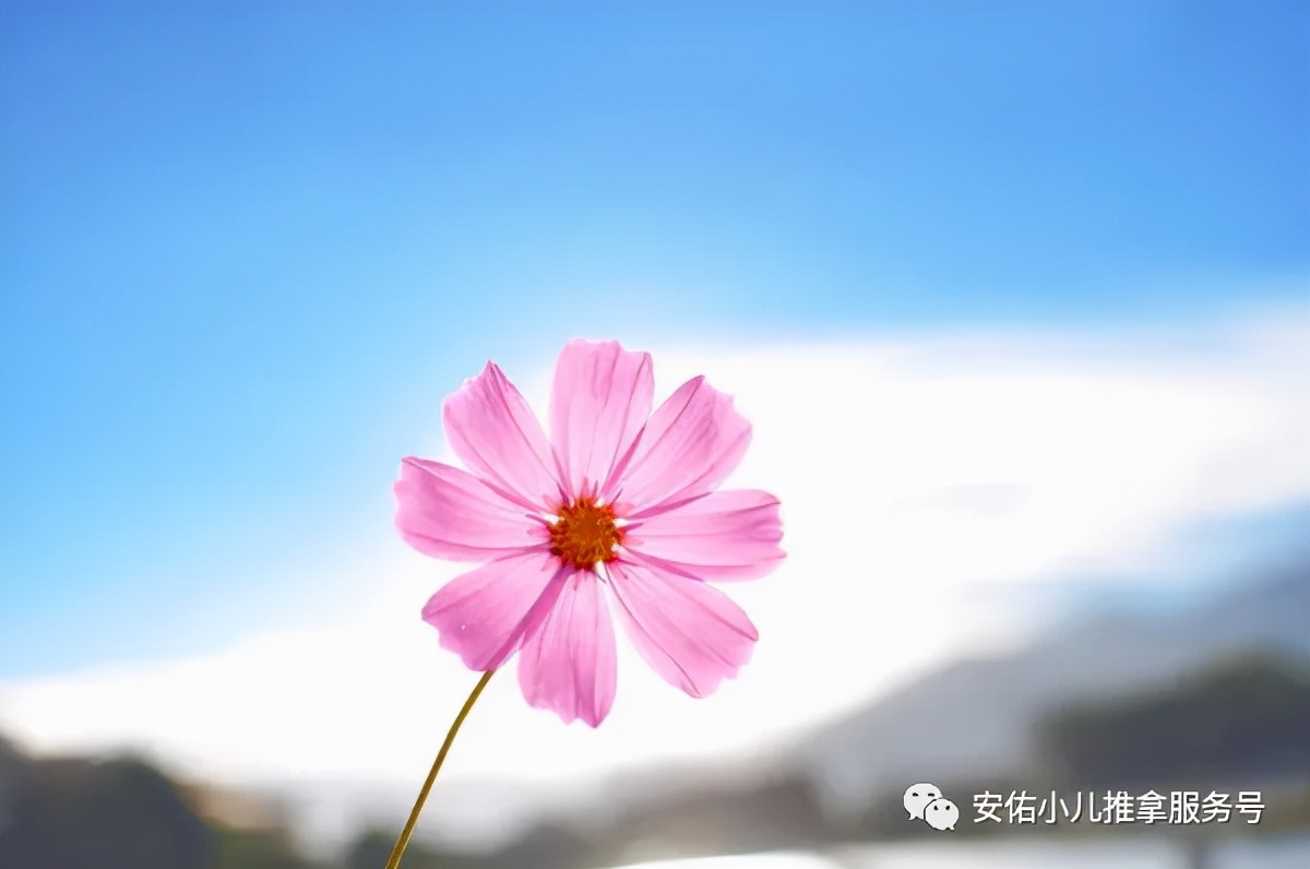 小儿推拿店怎么吸引客源,小儿推拿店如何经营