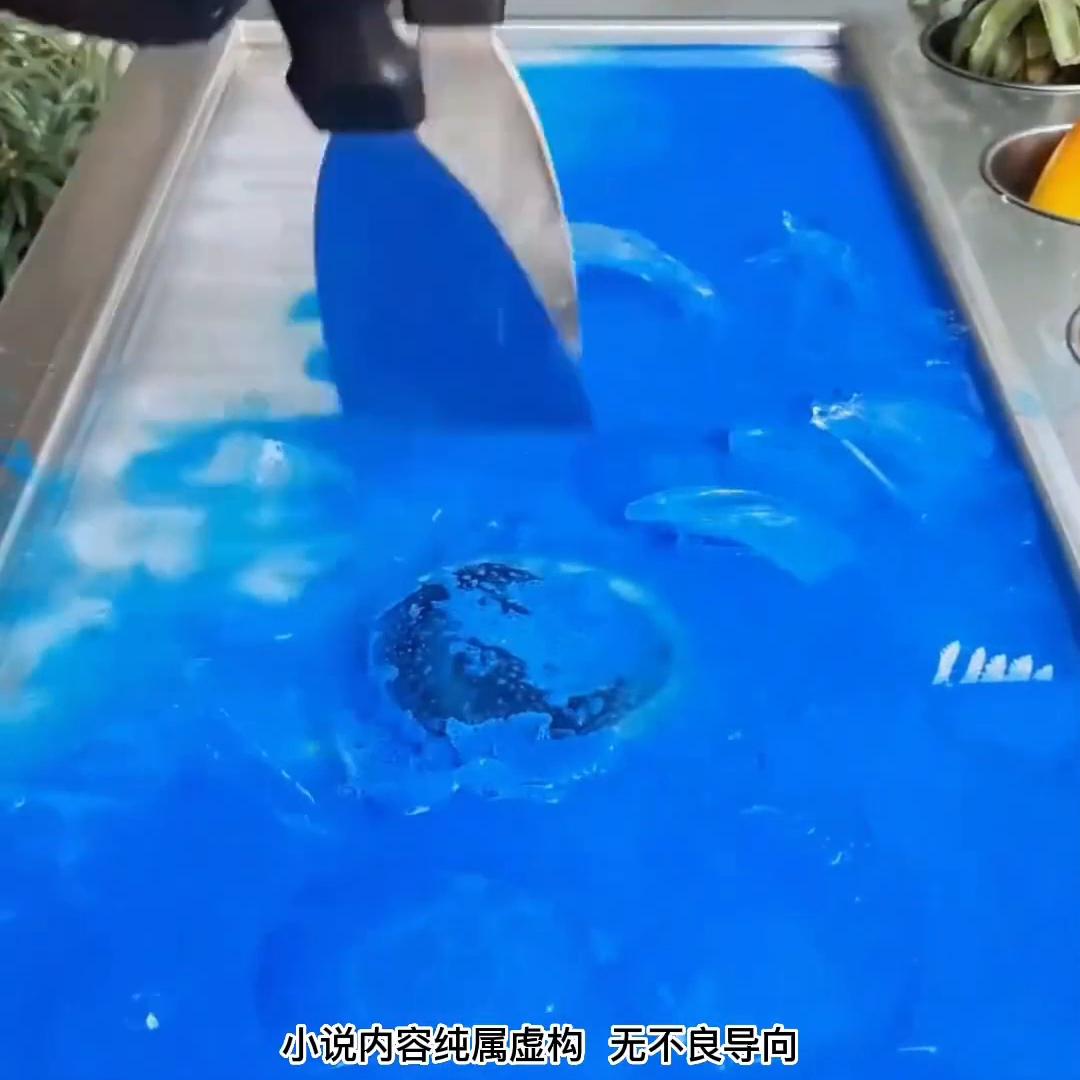 甜宠校园小说校草校花,校园校草超甜的小说