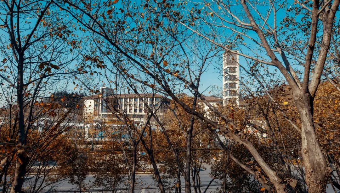 南京燕子矶中学特色,南京燕子矶中学在南京市排名