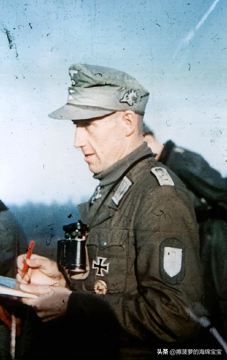 霍尔姆盾章二战德国,二战德国军奖章