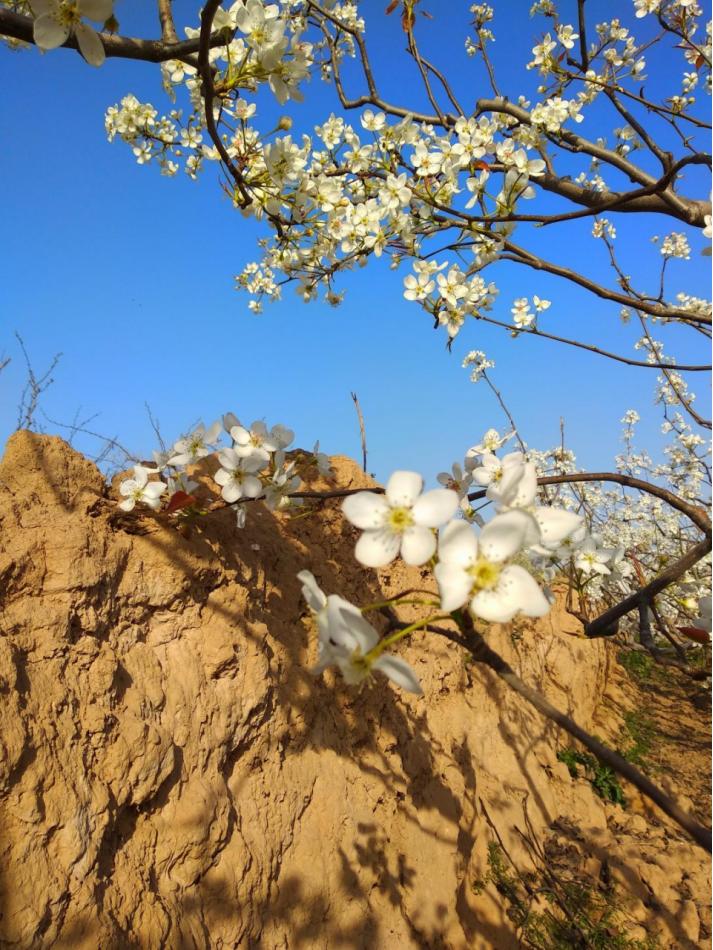 大唐陕西新能源发电有限公司简介,大唐陕西发电技术工程有限公司