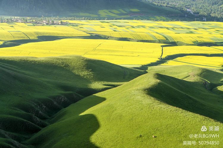 祁连山草原哪里最美,祁连山深处草原