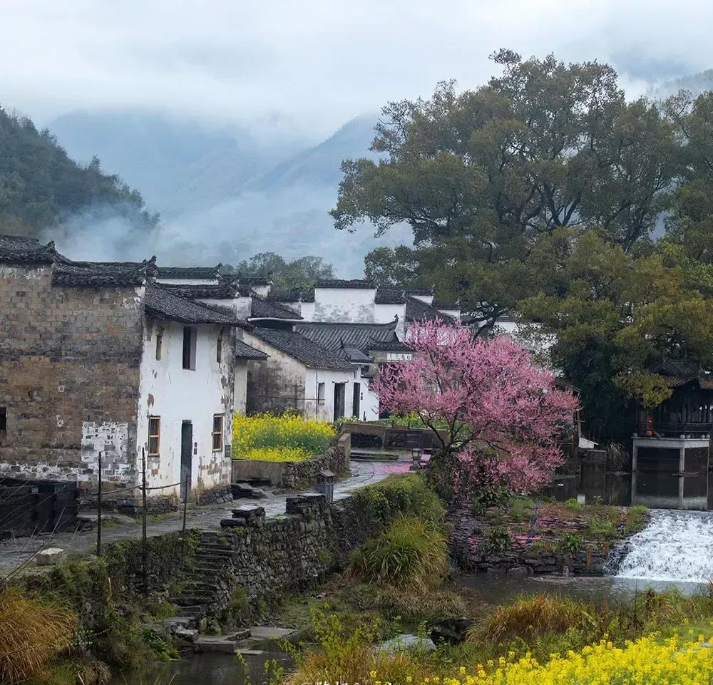 仲夏夜之梦戒指,仲夏夜之梦钻戒