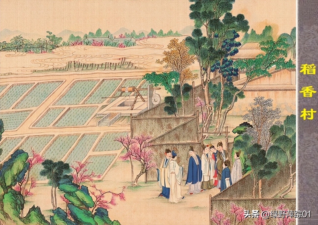 红楼梦里贾雨村谐音蕴藏的含义,红楼梦里贾雨村出现次数