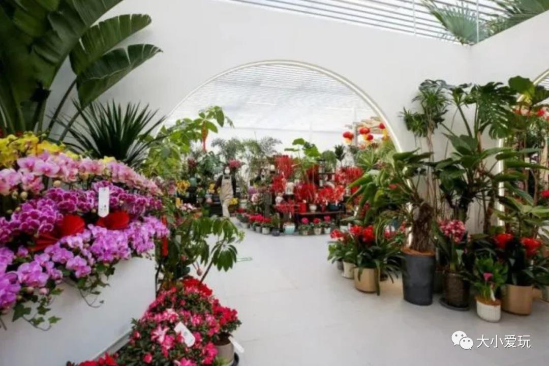 京城“土著”都来这些地方置办年货，既快乐又省钱年前怎么也得去