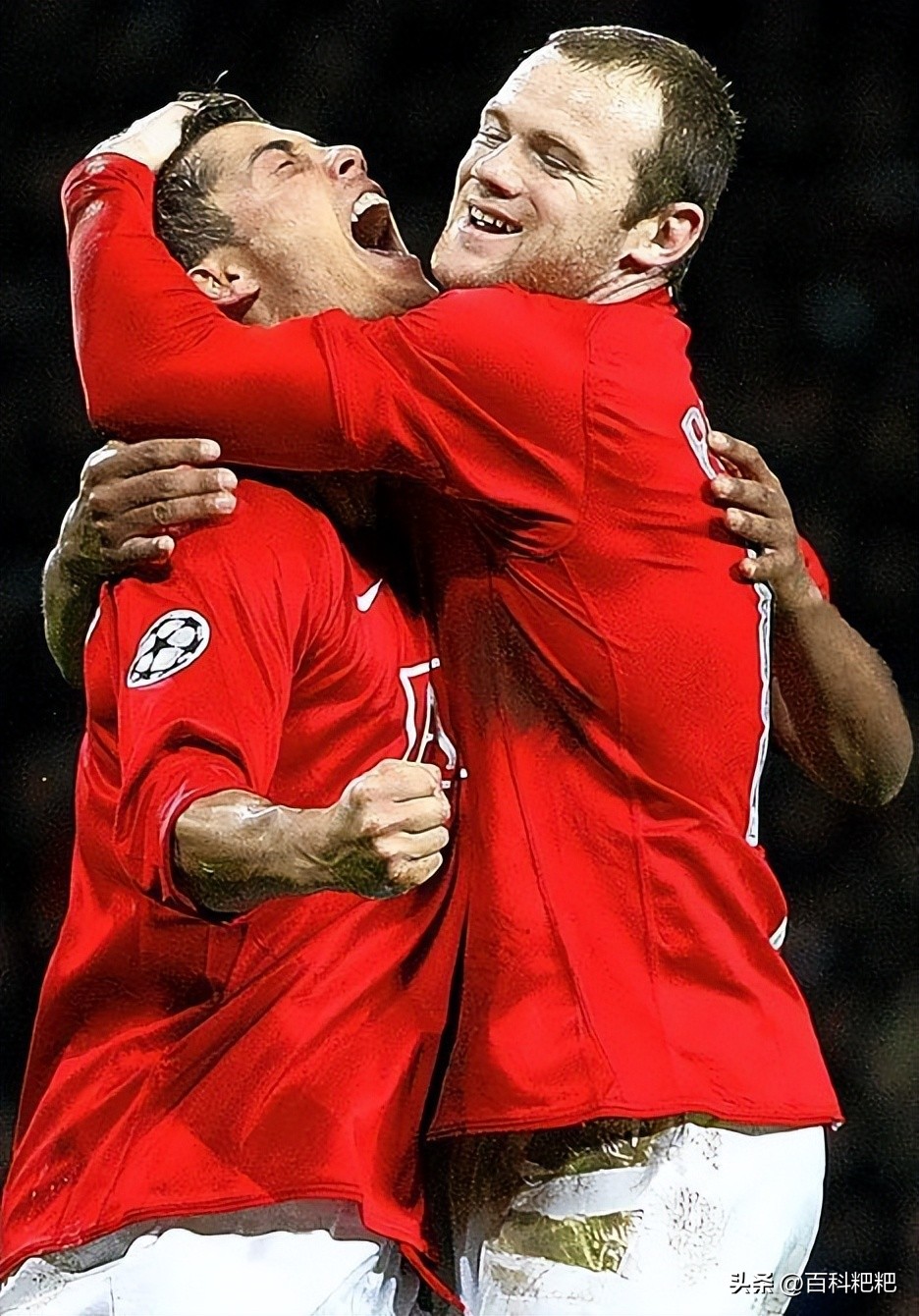 世界杯伪球迷观赛指南,世界杯伪足球球迷攻略有哪些