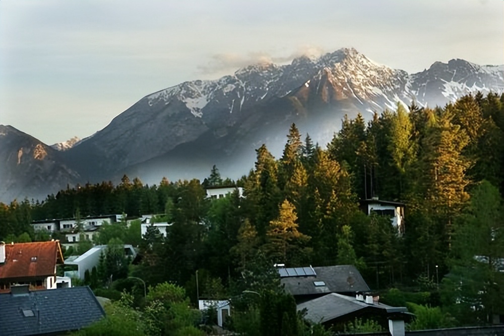 明明同样是牛，为啥古代中国人用来耕作，欧洲人却做成了牛扒？