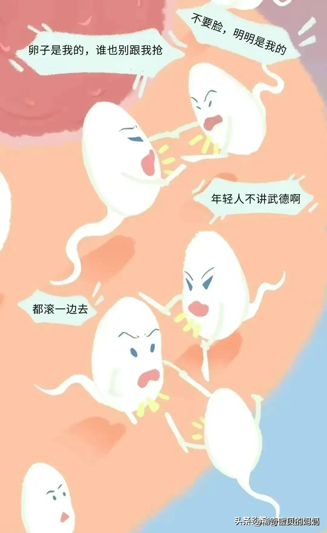 小蝌蚪漫画,科普知识小蝌蚪怎么成长为青蛙