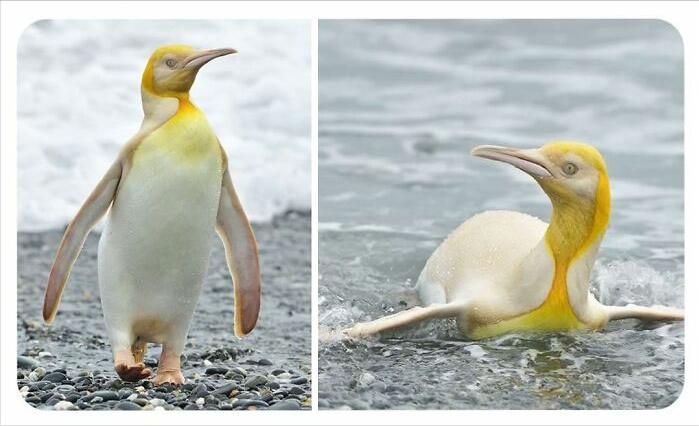 克林顿布什奥巴马合影,克林顿希拉里老照片