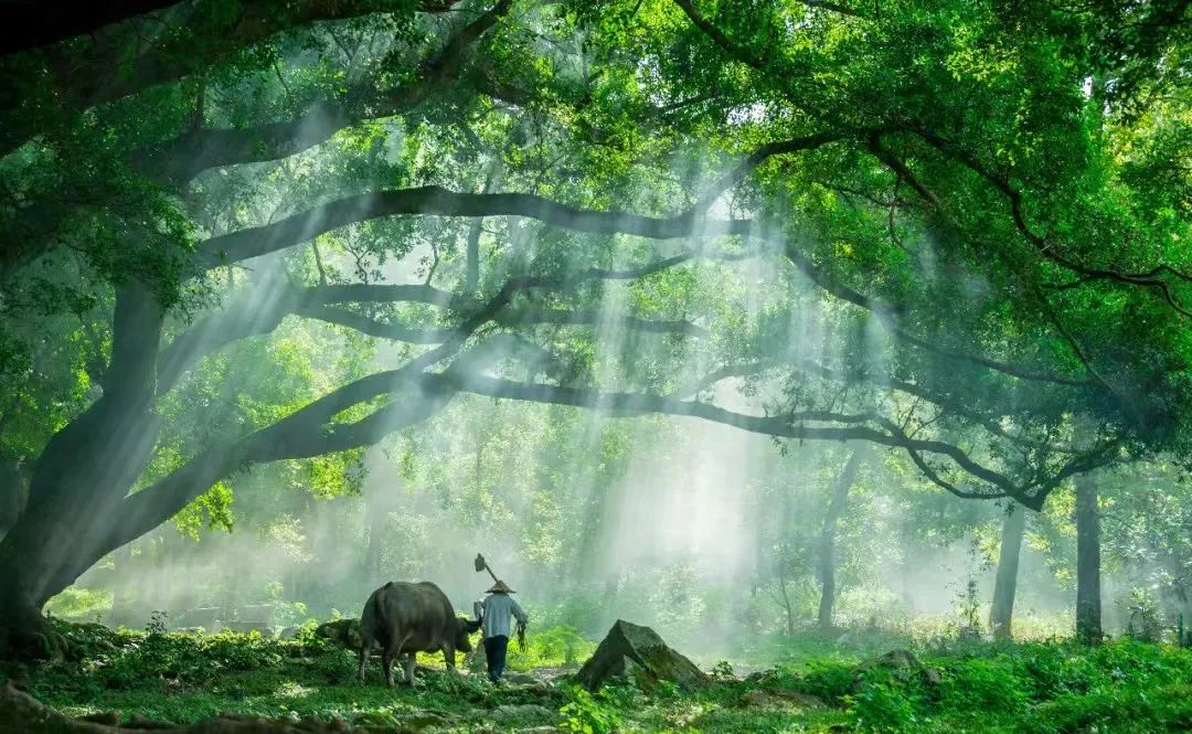 节气清明春意正浓,节气清明简介