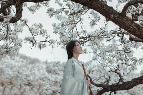 寂寞空庭春欲晚良儿没走,寂寞空庭春欲晚