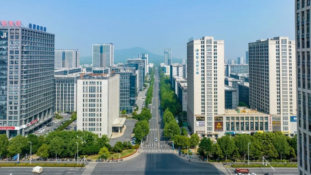 合肥高新区部分主导产业,合肥高新区高质量发展研讨会