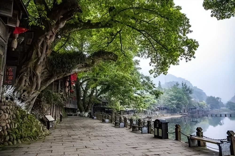 洪雅一个生你养你的地方,洪雅一个养你的地方