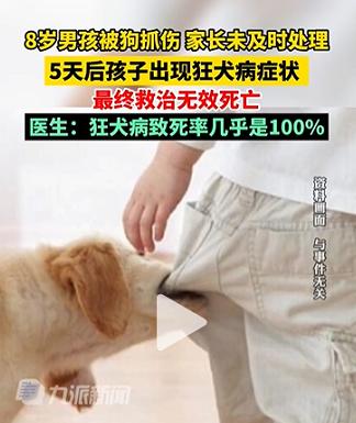 被狗抓伤咬伤会得狂犬病吗,男子被狗抓伤狂犬病10天后死亡