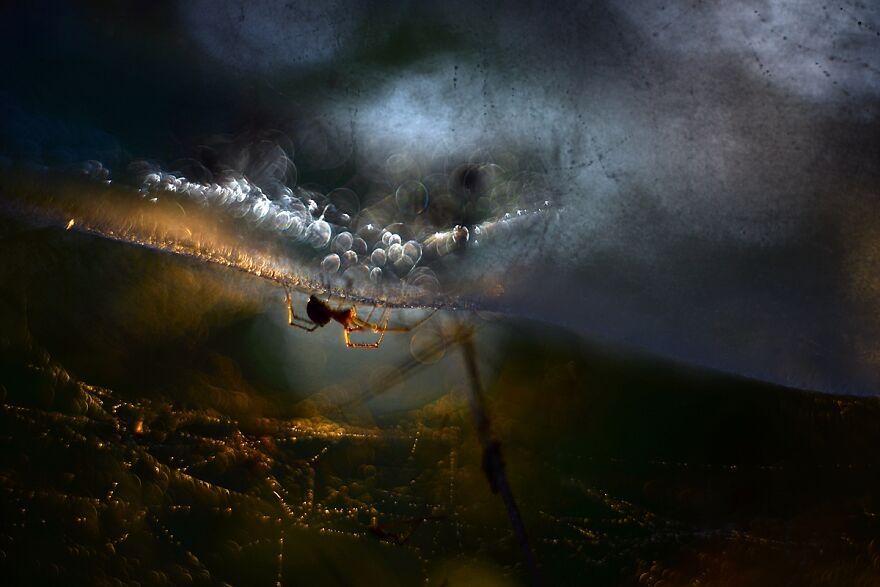 大自然的美景秋天摄影照片,美丽的大自然春夏秋冬图片大全