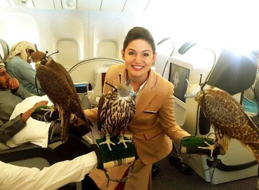 迪拜必买的10件东西,迪拜奢侈的生活方式