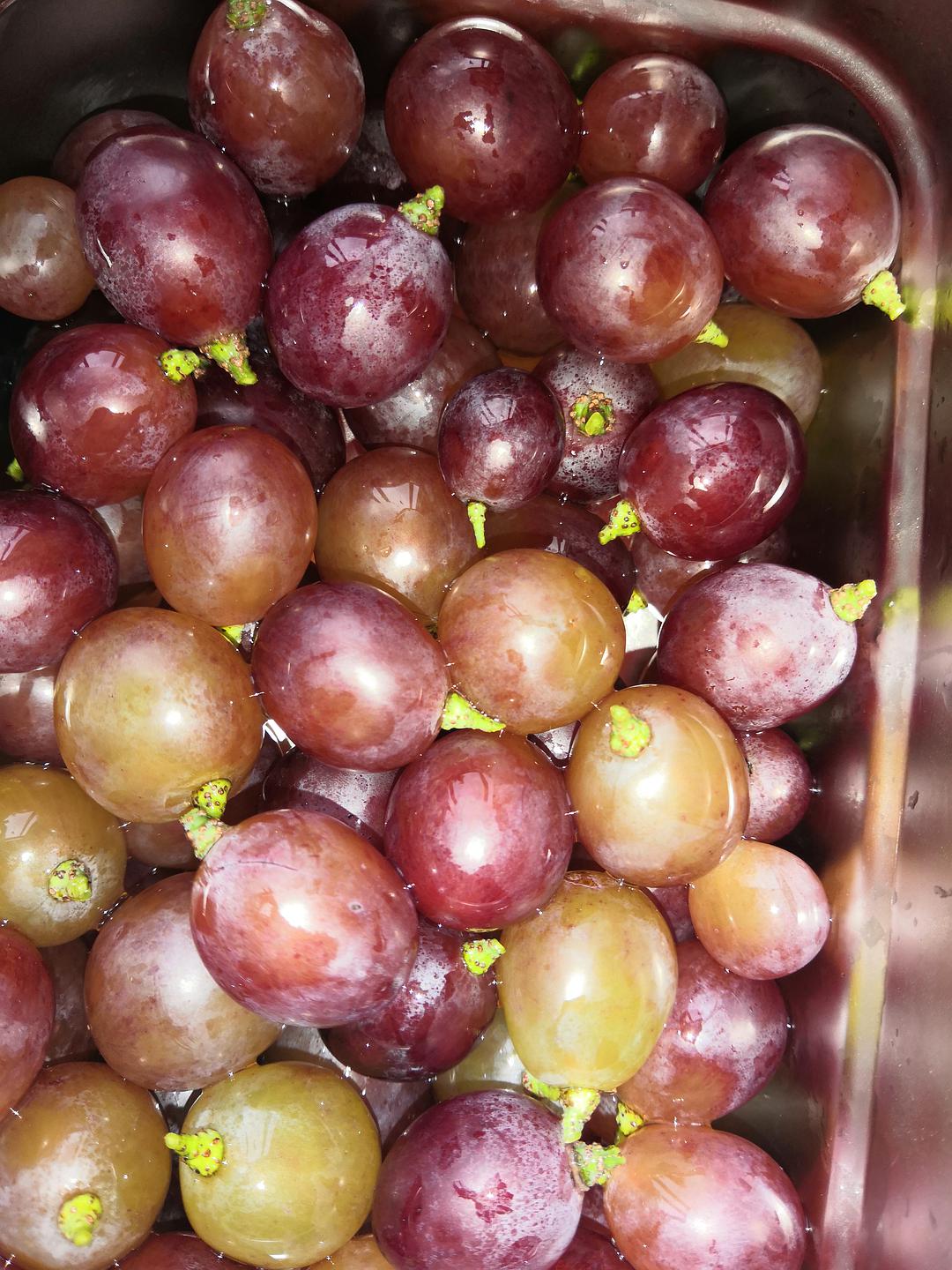 天津有哪些特色土特产,天津的特产什么地方的最正宗