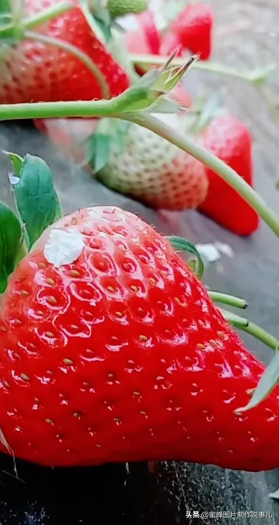 丰富美味的水果壁纸,甘甜适口的美味水果壁纸图片