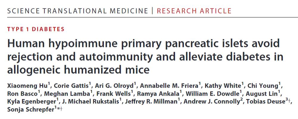 science子刊投稿,糖尿病胰岛移植最新进展