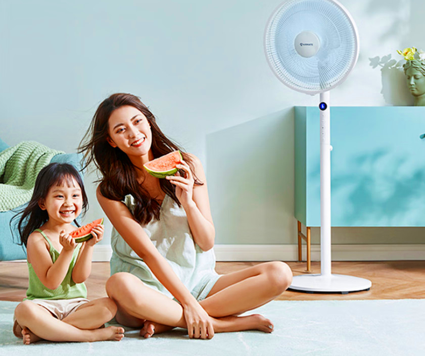 风扇应该怎么选,挂壁式风扇大品牌