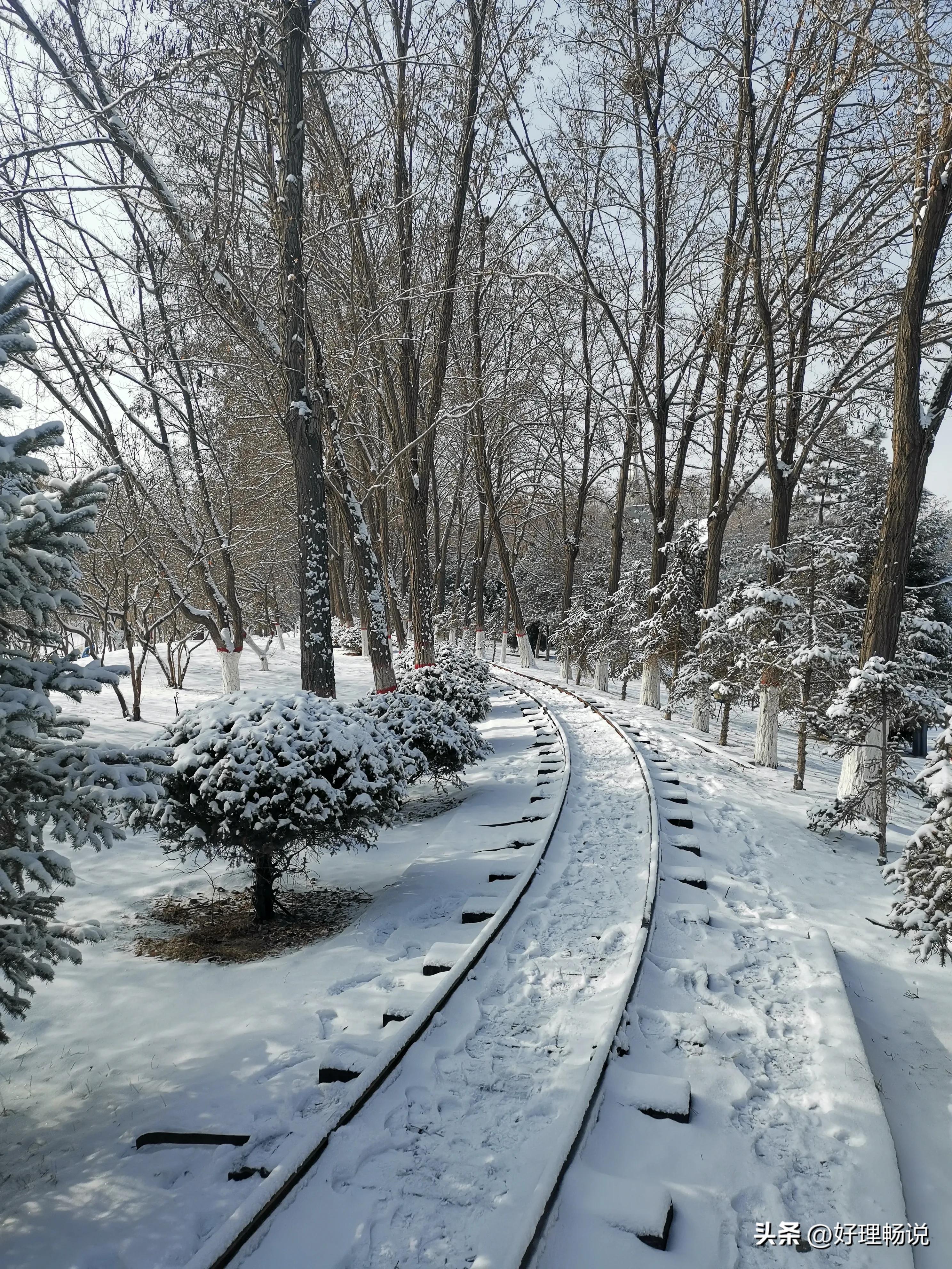 雪地上的喜鹊开饭了！喜欢出游的人们有新期待了！