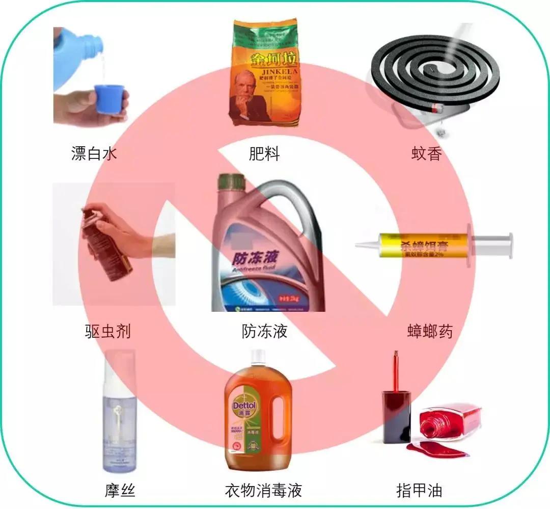 猫咪轻度中毒的症状及治疗,猫咪中毒三小时以上该怎么解毒