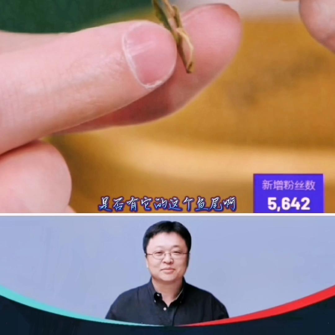 dou+小助手官方,dou+小助手直播官方账号直播间