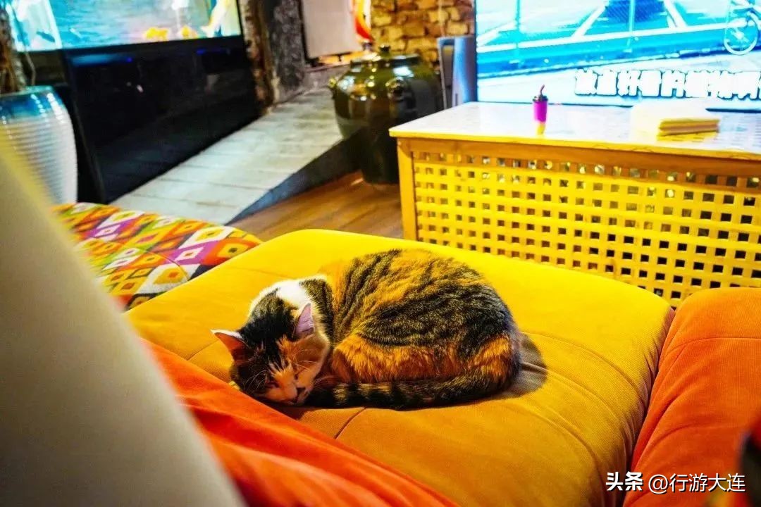 小而精的景区体验项目,这座城市藏匿着许许多多的小惊喜