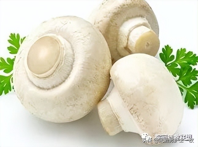 蘑菇中毒最常见品种,有毒蘑菇的八种识别方法