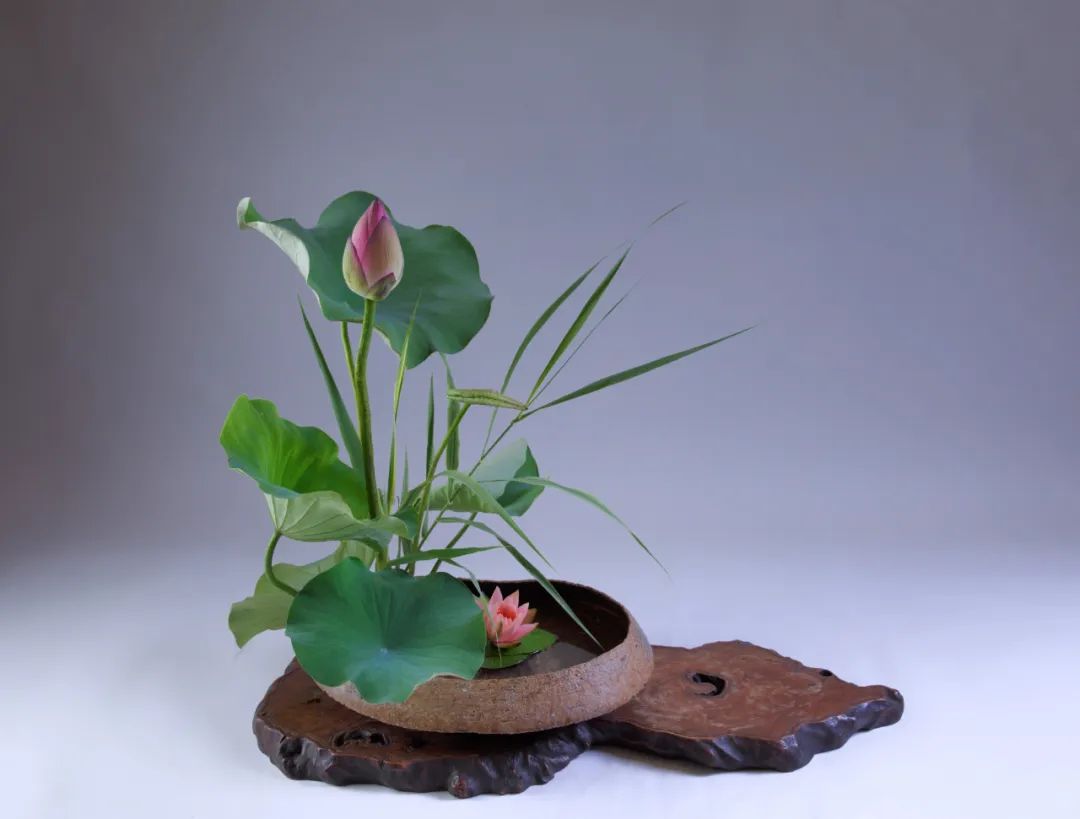 日本顶级禅意插花荷花,日式荷花插花