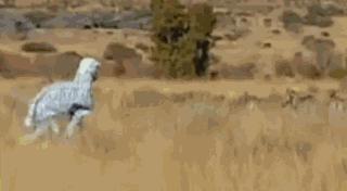 “性取向测试!”如果你看到的是一群人在游泳,那就再仔细看看