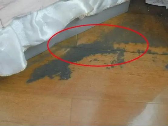 曝光“私密影院”内部全过程,看你喜欢的特殊服务,令人作呕