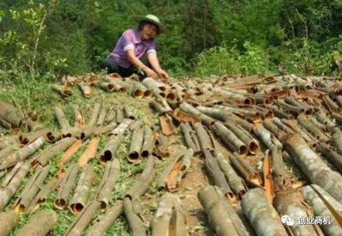 利润很吓人10个冷门致富项目,一年赚15万冷门项目是什么