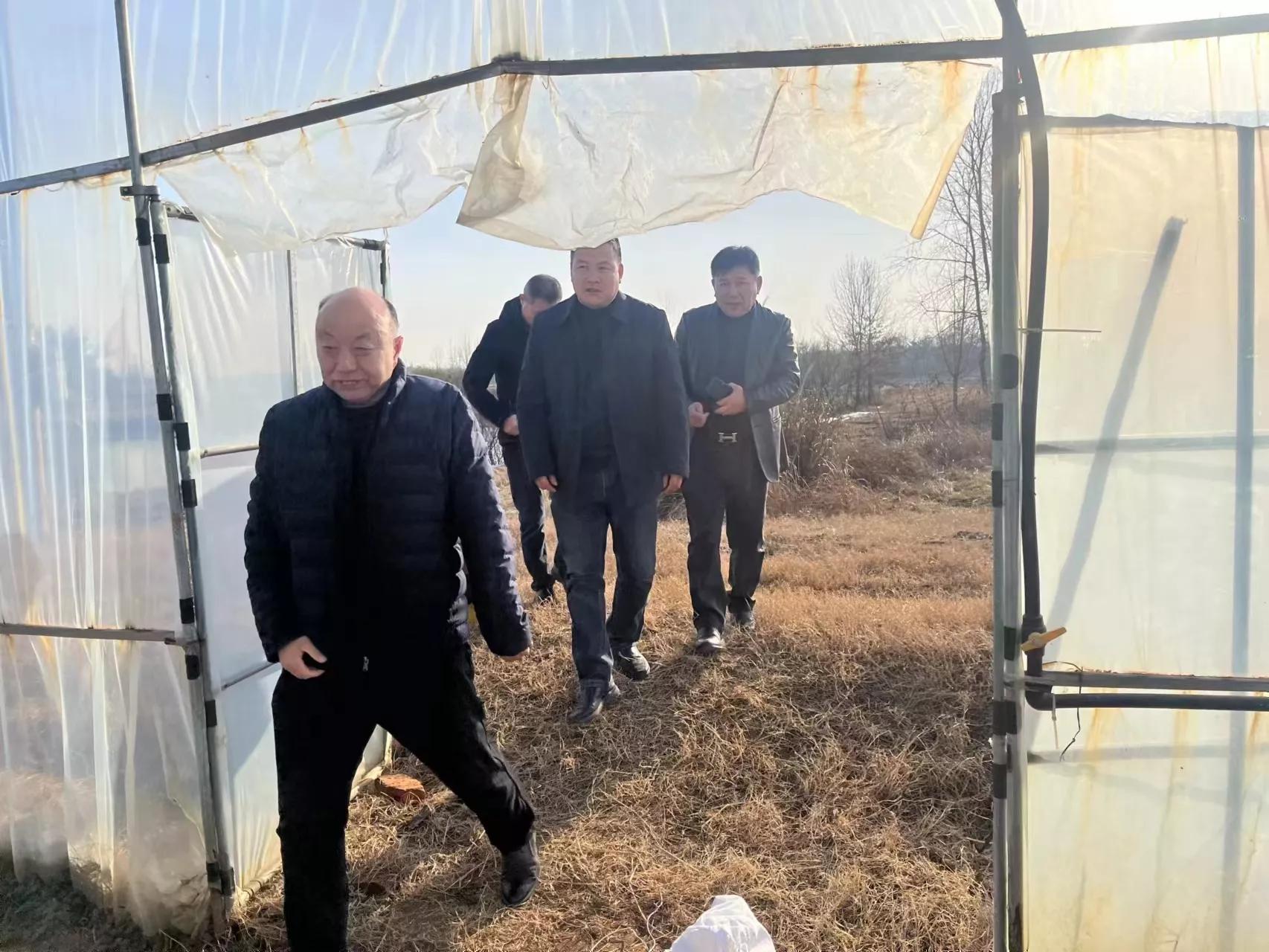 食用菌专家丁伦保,丁伦保食用菌种植技术