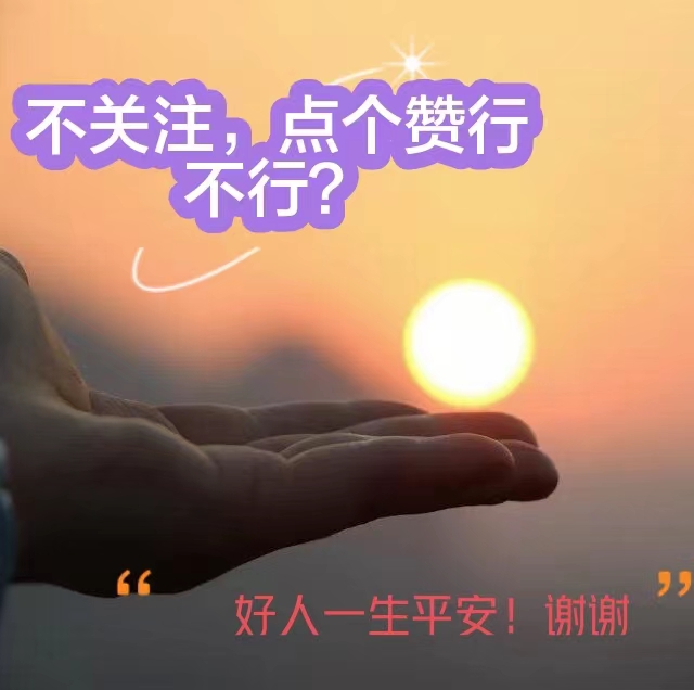 股票基金期货论坛,股票跟单论坛