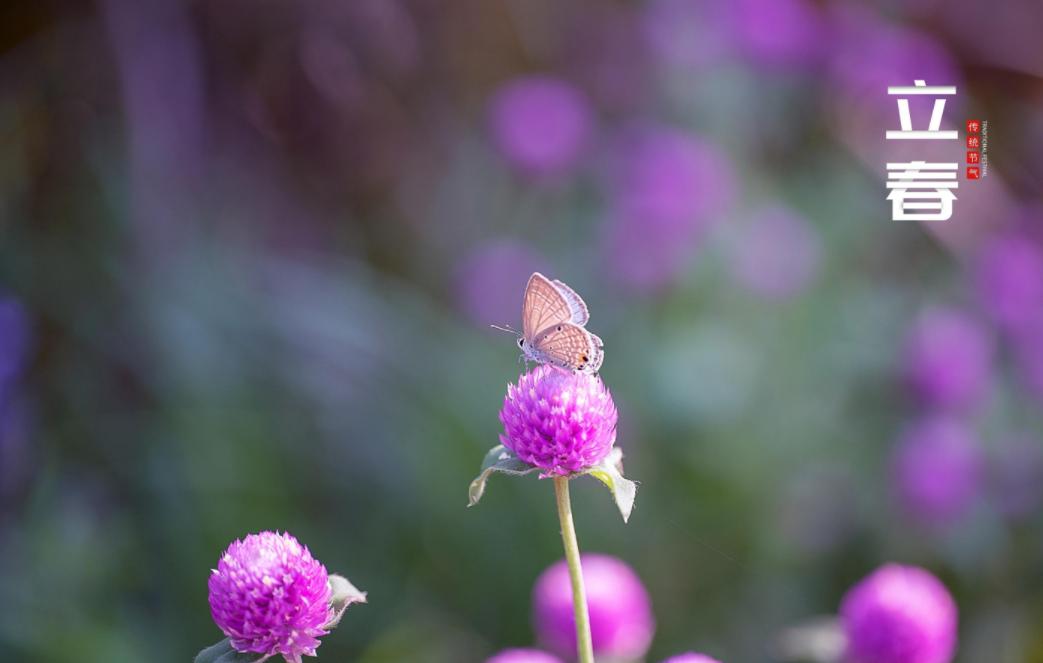 关于立春的古诗词名句,10首立春诗词送你最美的祝愿