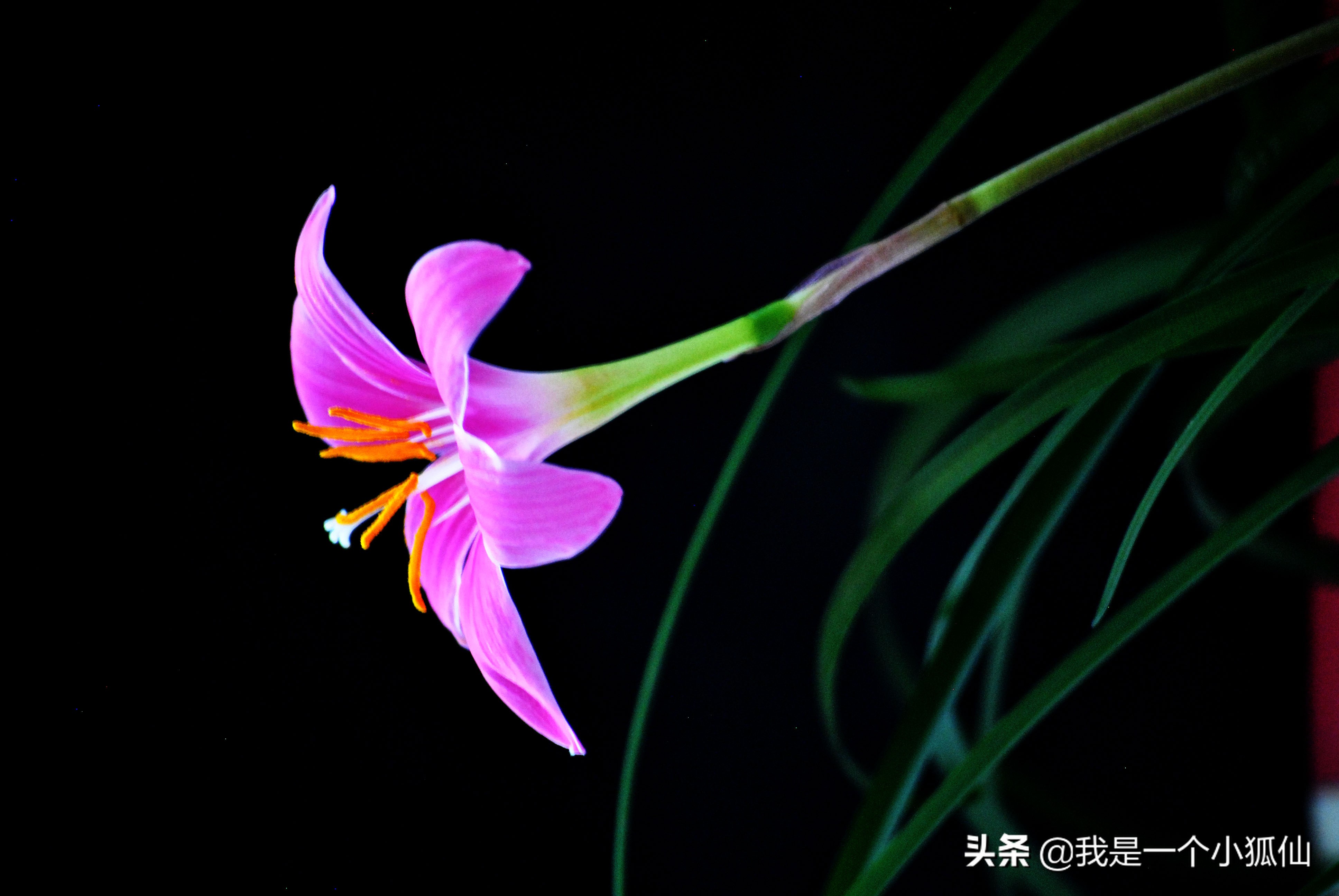 当一个摄影爱好者,如何伪装成摄影爱好者